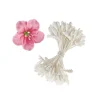 vente pas cher en ligne Assortiment Etamines Fleurs (x180) Wilton 5