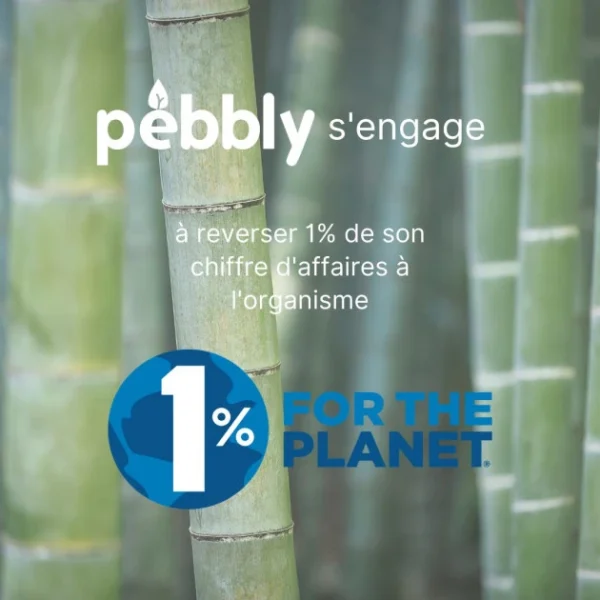 Meilleur Prix Boîte De Conservation En Verre Et Bambou Carré 2,2 L Pebbly 5