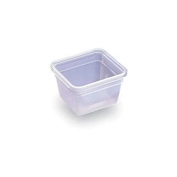 BOURGEAT Boîte Modulus Gastronorme 2 Litres GN 1/6 H15 Cm en vente 1