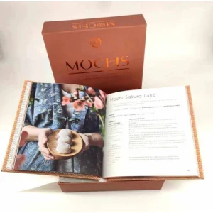 HACHETTE CUISINE Coffret Livre De Recettes Mochis, Chez Hachette en vente 9