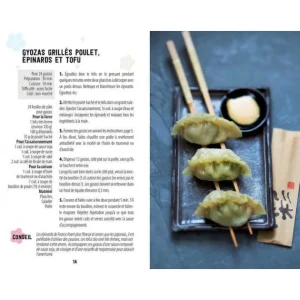 comparez les prix HACHETTE CUISINE Coffret Livre De Recettes So Gyoza + Moule à Gyoza, Chez Hachette 19