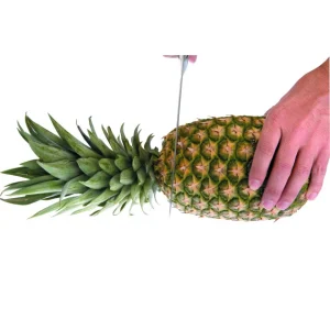 Coupe Ananas Plastique Ø 8,5 Cm X H 25 Cm Ibili à prix imbattables 12