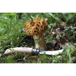 Couteau à Champignon N°8 Opinel Top ventes 10