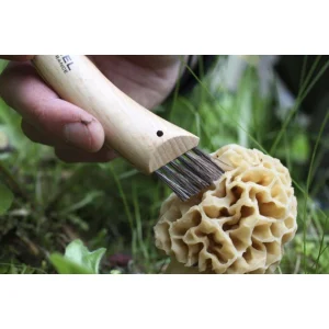 Couteau à Champignon N°8 Opinel Top ventes 12