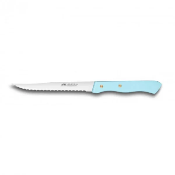 Couteau à Steak Cranté 11,5 Cm Sabatier Turquoise acheter 1