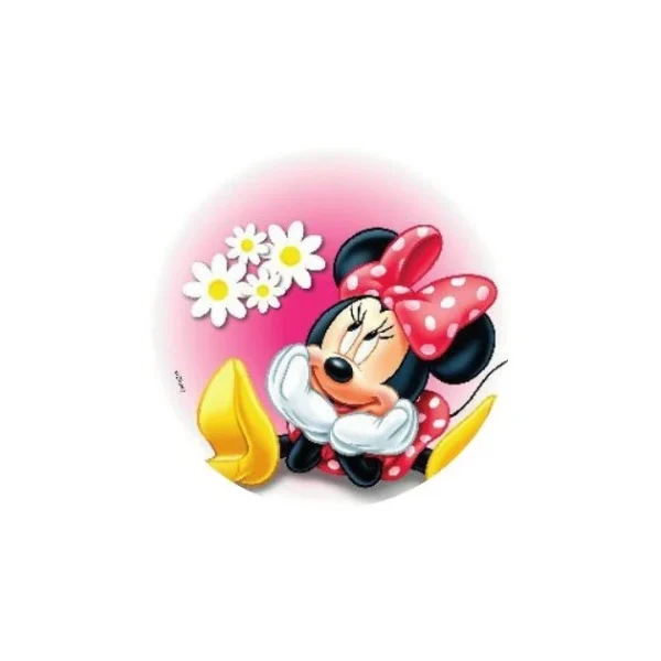 magasins pas chers FLORENSUC Disque Azyme 21 Cm Minnie Rêveuse 1