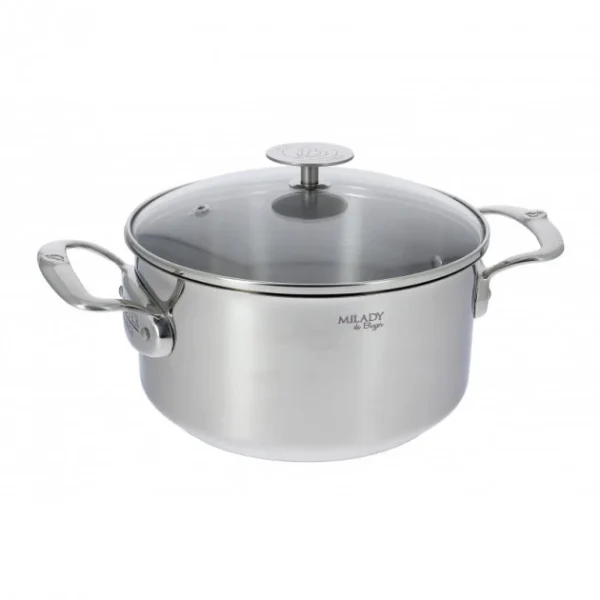 destockage Faitout Inox Avec Couvercle ø20 Cm Milady De Buyer 1