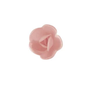 Fleur Azyme Bio Rose Rose 4 Cm X6 Florensuc officiel 6