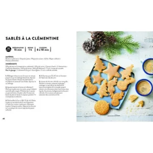 HACHETTE CUISINE Livre De Recettes Biscuits De Noël, Chez Hachette magasin en ligne france 9