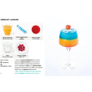 HACHETTE CUISINE Livre De Recettes Les Cocktails Sans Alcool Les + Faciles Du Monde, Chez Hachette le grand escompte 10