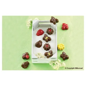 Moule à Chocolat 15 Sujets Spring Life Easy Choc – Silicone Spécial Chocolat boutique en ligne france 8