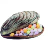 MALLARD FERRIERE Moule à Chocolat Coquillage 14,6 Cm soldes ligne 10