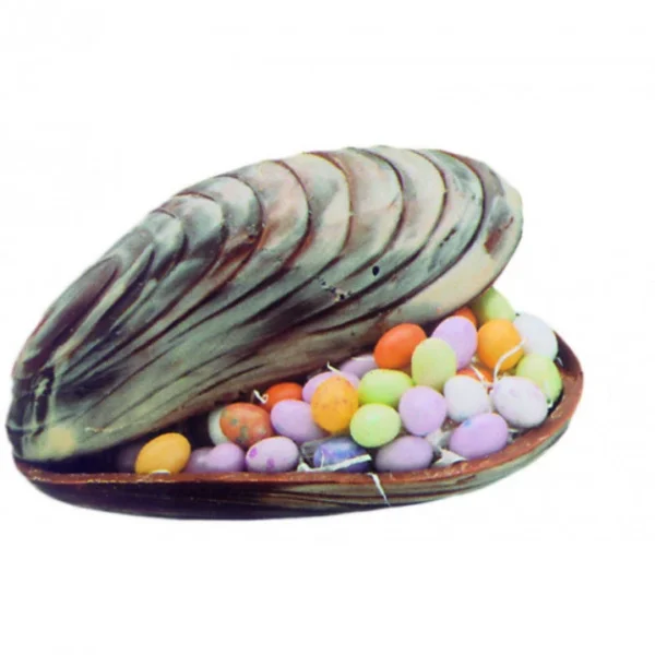 MALLARD FERRIERE Moule à Chocolat Coquillage 14,6 Cm soldes ligne 1