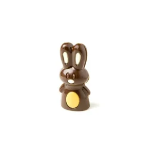 Moule à Chocolat Lapin (x16) Chocolate World Top ventes 6