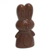 Moule à Chocolat Lapin (x16) Chocolate World Top ventes 8