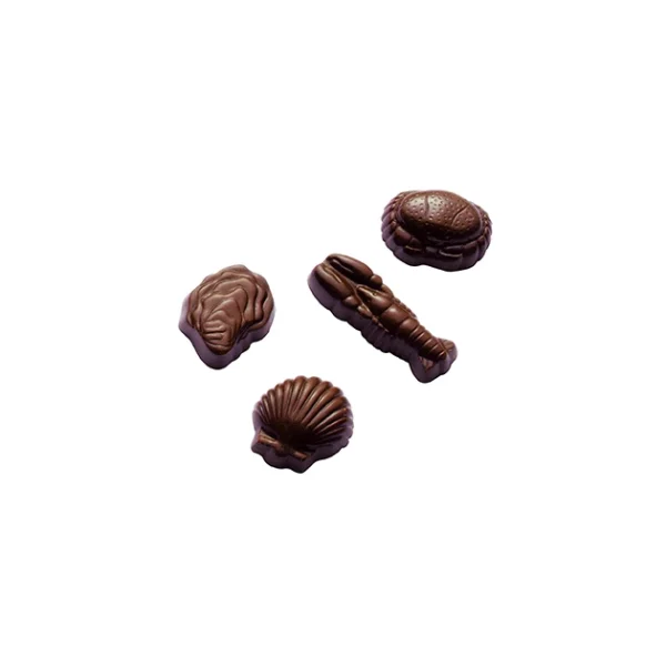 vente pas cher Moule Chocolat Coquillages Et Crustacés (x24) Barry 1