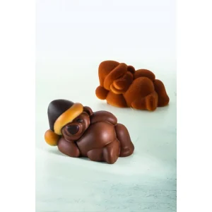 Moule Chocolat Ourson Teddy 18,5 X 11 Cm X H 10,6 Cm (x2) Pavoni économies garanties 9