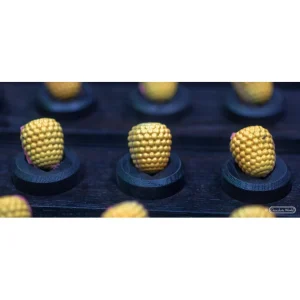 Moule Chocolat Patrick De Vries Hybritage Raspberry 29,5 Mm (x24) Chocolate World aux meilleurs prix 6