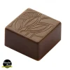 Achat Moule Chocolat Praline Carrée Fève 2,5 Cm (x24) Chocolat Form 16