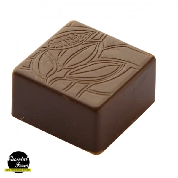 Achat Moule Chocolat Praline Carrée Fève 2,5 Cm (x24) Chocolat Form 1