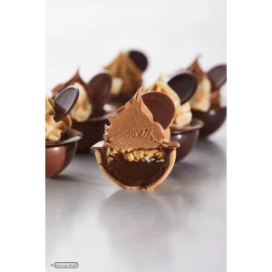 Moule Chocolat Sphère Aplatie 3 Cm (x24) Chocolate World achetez pas cher 9