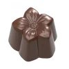 grande marque pas cher Moule Chocolat Violette 25 Mm (x32) Chocolate World 10