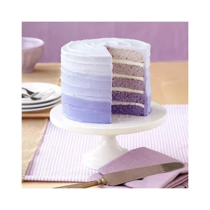 Vente Moule Gâteau à étages Rainbow Cake Wilton (x5) 9