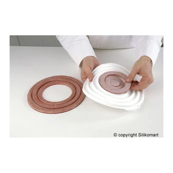 Moule Silicone Insert 12 Cercles Ø 26 Cm Silikomart Professional comparez les prix 5