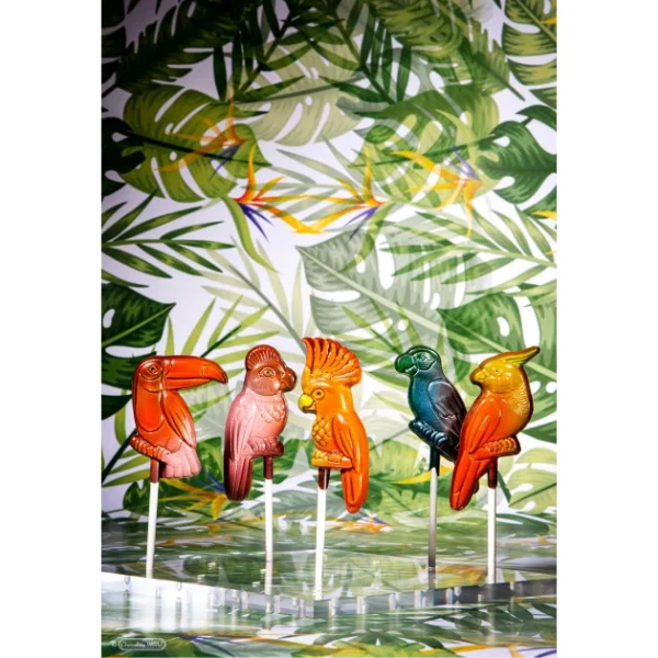 Moule Sucette Chocolat Oiseau Tropical (x5) Chocolate World en ligne vente 4