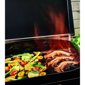 grande promotion Plancha Gaz Fonte Émaillée 62 X 52 Cm Outdoor De Buyer 10