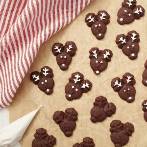 à prix très bas Presse à Biscuits En Métal +12 Disques Wilton 18